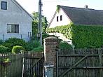 Třibřichy